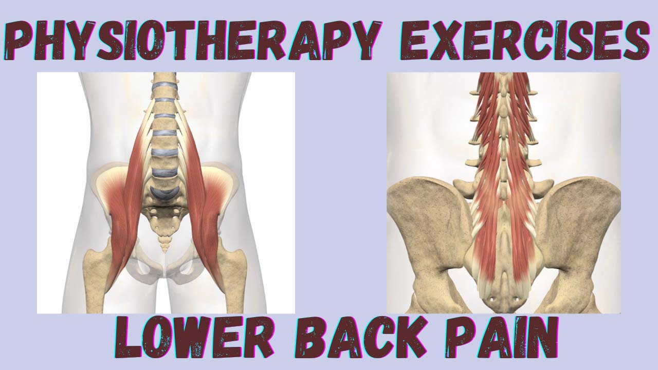 physiotherapy exercises lower back pain