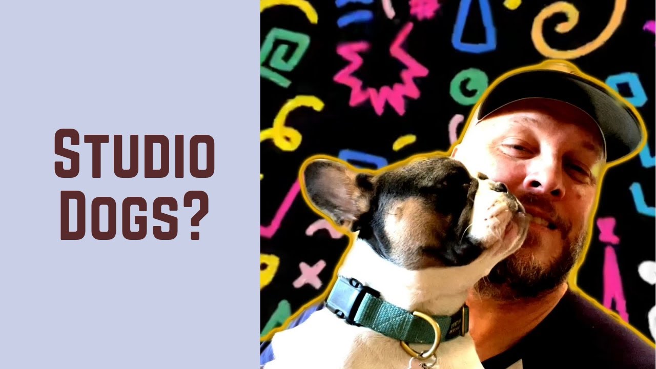 Why do we have Dogs at the Physical Therapy and Pilates Studio Featured Image